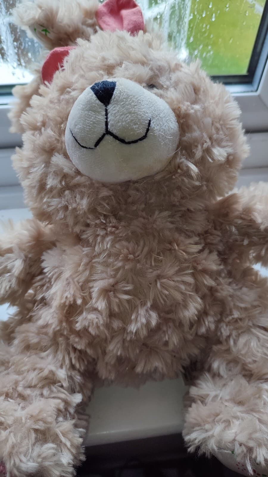 TEDDY BEAR